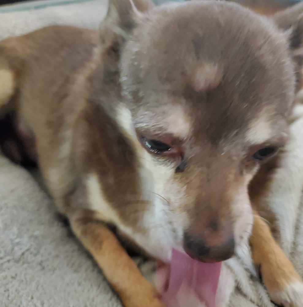 Meet your Posher, Christopher